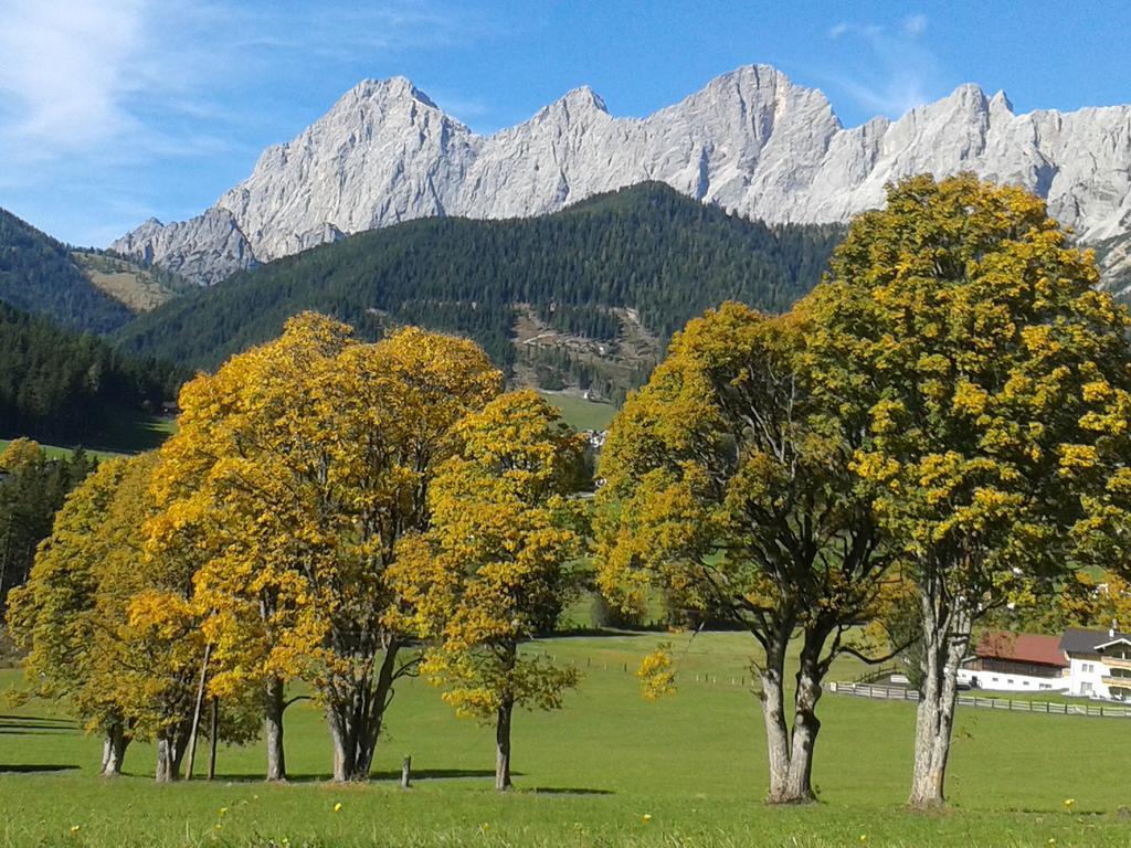 Apartment Oesterreich Ramsau am Dachstein Cameră foto