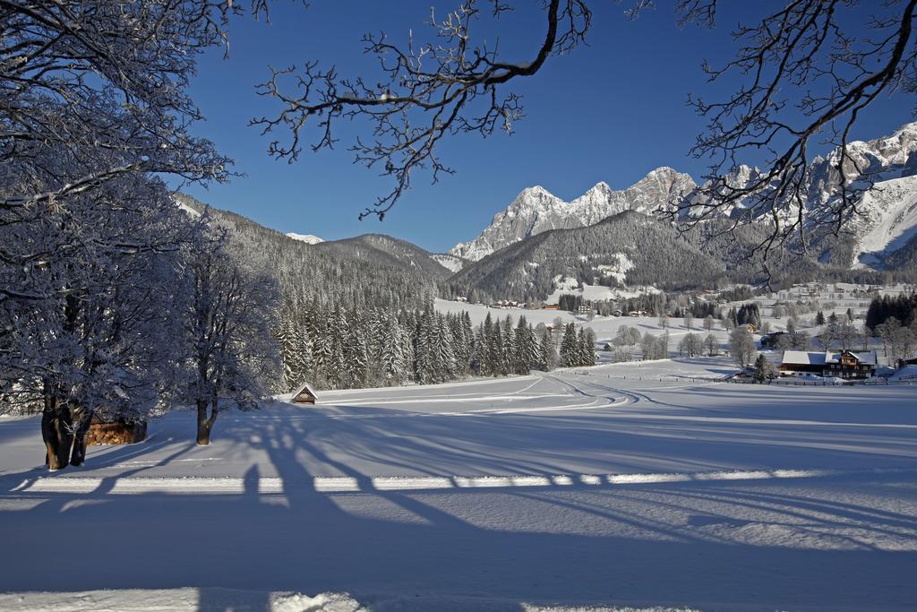 Apartment Oesterreich Ramsau am Dachstein Cameră foto