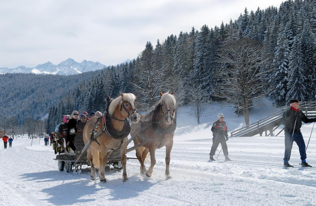 Apartment Oesterreich Ramsau am Dachstein Cameră foto