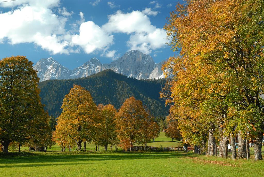 Apartment Oesterreich Ramsau am Dachstein Cameră foto
