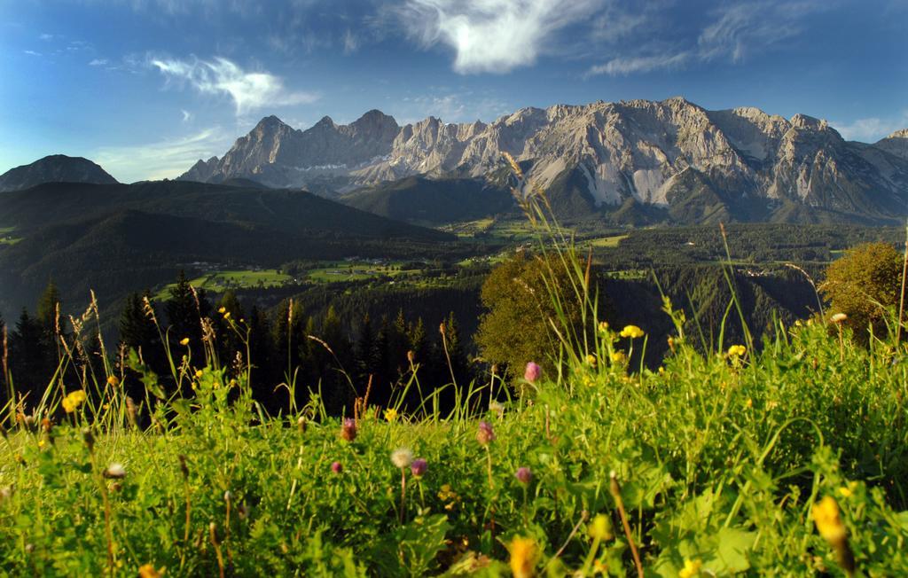 Apartment Oesterreich Ramsau am Dachstein Cameră foto